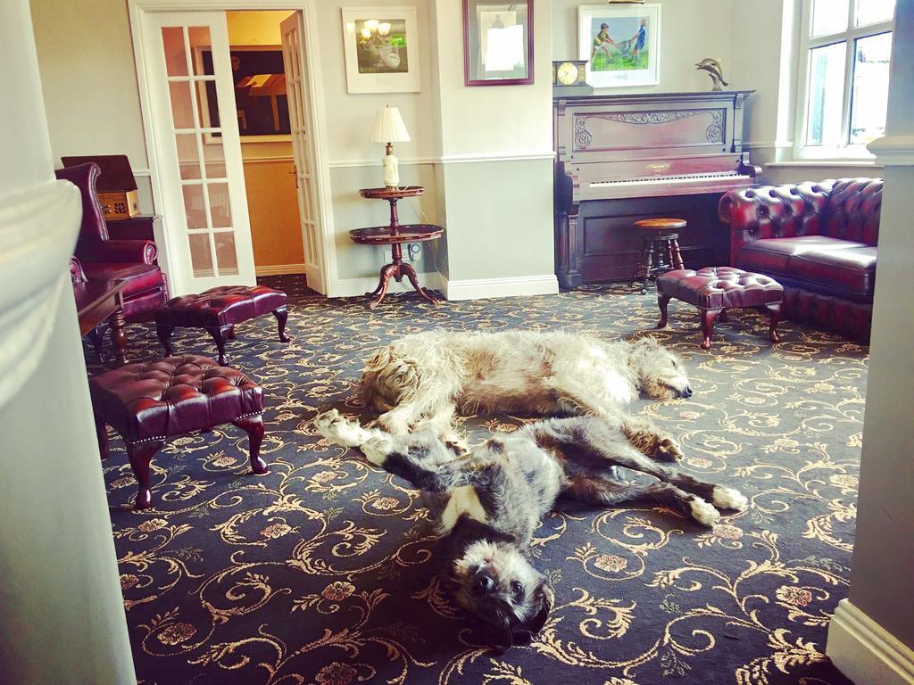 Milltown House Dingle Hotel ภายนอก รูปภาพ